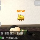 돼지의꿈