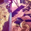 바다의형상 이미지