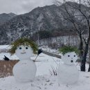 더 머뭄 | 강원도 '더 머뭄' 펜션의 따뜻한 겨울 여행 후기
