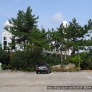 해뜨는 언덕 이미지