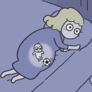 광명농산물 | 2026년 경기도 임산부 친환경 농산물 꾸러미 신청 후기(광명시)