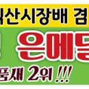 한벌태권도장 이미지