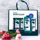 그린종합가스 | 코스트코신상치약 추천 덴티리프치약가글세트 가글 치약 사용후기