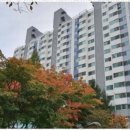 명성부동산중개사무소 이미지