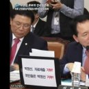 박영선 카카오 검색결과