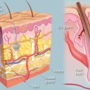 지선한의원 이미지