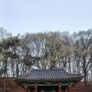 황산대첩비제와 동편제 마을 이미지