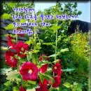 현서농장 이미지