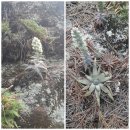 천리농장 이미지