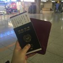[홍콩마카오 5박6일]혼여행2탄 여자혼자_홍콩첵랍콕공항에서 침사추이 가는방법 옥토퍼스카드 A21버스