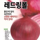 [공동구입] 자색 양파씨앗 나눔합니다.(시간엄수.조건나눔) 이미지