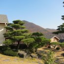 정원이 아름다운 집 이미지