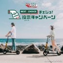 찐제주 이미지