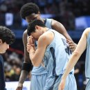 소노베스트 이미지