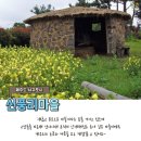 신풍리마을 이미지
