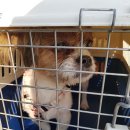 울산역로 이미지