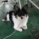 아리랑하우스 이미지