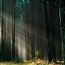 조경기능사 자격과정 이미지