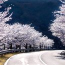 합천게스트하우스민박