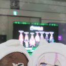 로하글로벌 | 2025 서울팝콘 POPCON 일요일 현장 결제 방문 니지산지kr 스테이지 후기