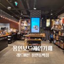 동백농원 | 용인 실내데이트 하기 좋은 용인 보드게임카페 레드버튼 용인동백점 다녀온 후기