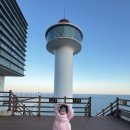 태종대 전망대 | 부산 가볼만한 태종대 전망대 주차 정보와 다누비열차 이용 후기