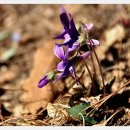 북정약수터 이미지