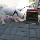 장학LH1단지 이미지