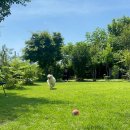 삼형제농장 이미지