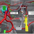 리콜 대상 자동차 이미지 이미지