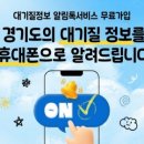 대청산림개발