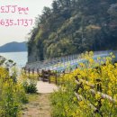 JJ펜션 민박 이미지