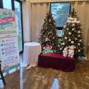 속초사진관 | 속초 셀프사진관 다녀온 후기, 자연광 맛집에서 제대로 찍고 왔어요