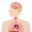 봉담장항외과의원 이미지