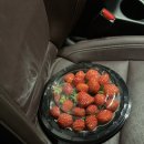 만촌한의원 | 일상 ㅣ 건강 한 것과 안 건강한 것을 때려넣는 건강염려증 사람의 이야기