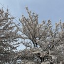 GS25 강릉노암점 이미지