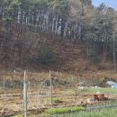 병조농장 이미지