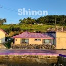 알수록 재미있는 세계명화이야기 | 신안 퍼플섬, 보라빛으로 물든 섬 여행 후기 무료입장 방법