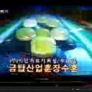 주식회사 미건 Daum카페