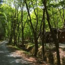 청송자연휴양림 이미지