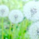 아동심리상담사 이미지