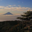 『稲穂のふるさと』 이미지