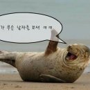 건하다 이미지