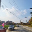 연신건재타일자판기 | 강릉 애견동반 호텔 - 경포 생태 저류지 산책하기 & 세인트존스호텔 펫룸 숙소후기