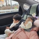 면목4동주민센터 | 다둥이카드 소지 시 무료이용 가능 서울형 키즈카페 중랑실내놀이터 이용후기