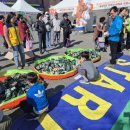 광천읍 주민센터 이미지