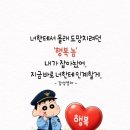 강사5