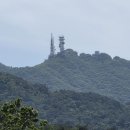 계룡산국립공원 기후변화 생태계 변화 관찰 이미지