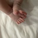 도미노피자수유점 | 우리 집 작은 인간의 탄생👼🏻