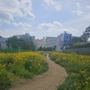 산성대로383번길 이미지